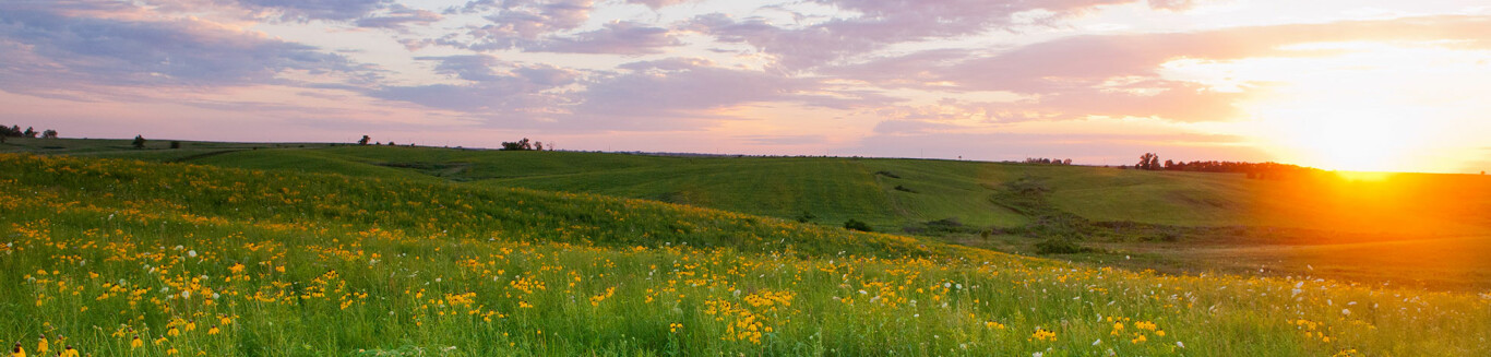 Dunn Ranch - Hatfield, Missouri