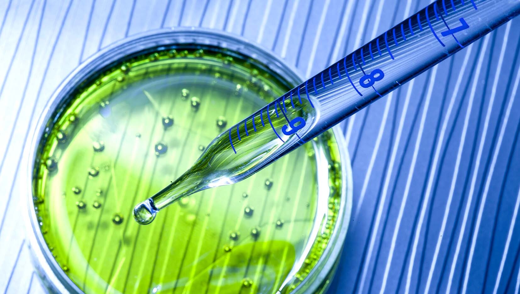 Analytical Lab Group Thompson Street Capital Partners