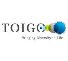 The Robert Toigo Foundation